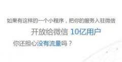 网站开发、微信开发、技术服务 微信小程序定制开发