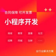 手机APP微信小程序品牌营销网站系统软件物联网智慧
