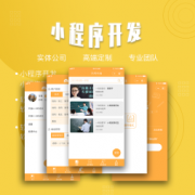 小程序开发 微信小程序定制开发 公众号小程序制作公司 小程序